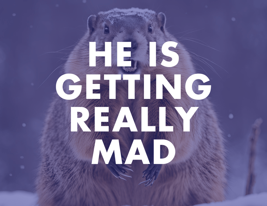 Angry angry groundhog